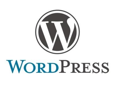 SEO特化wordpressをサーバー設置します SEO特化のサーバ、テーマ、プラグインすべて丸投げで