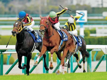 お試し価格(激安)【中央競馬】代わりに予想します 私が自信のある馬を選び買い方まで予想
