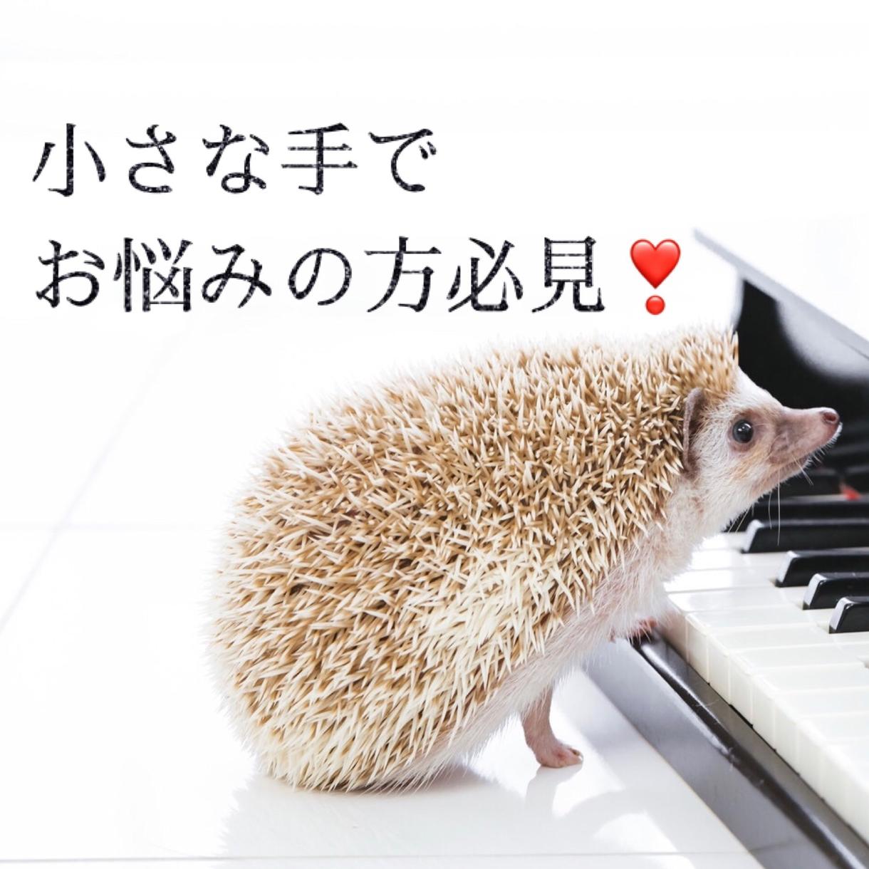 ピアノ【手が小さい方】ピアノのお悩み相談のります オクターブギリギリの音大卒ピアニストが実体験を元にアドバイス