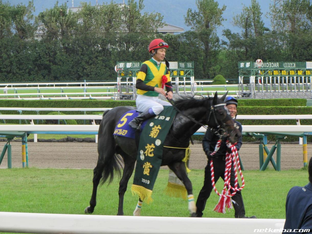 日曜日の中央競馬メインレースを予想します 注目馬を5~7頭にしぼります。