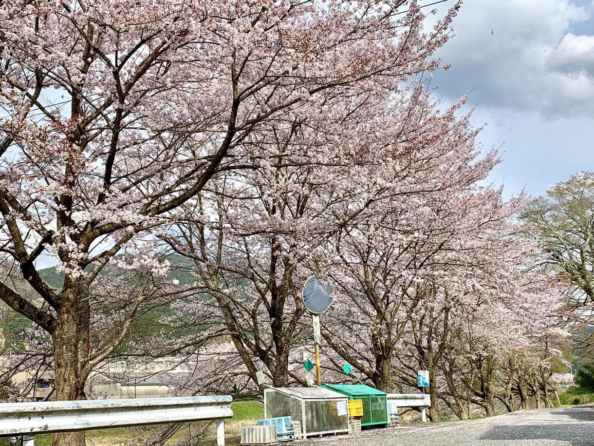 画像の加工をいたします 新しい画像をあなたにお届け致します。