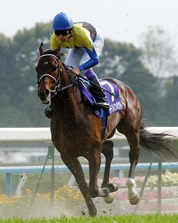 競馬予想の参考データを提供します 調教結果をデータ化してご提供します。