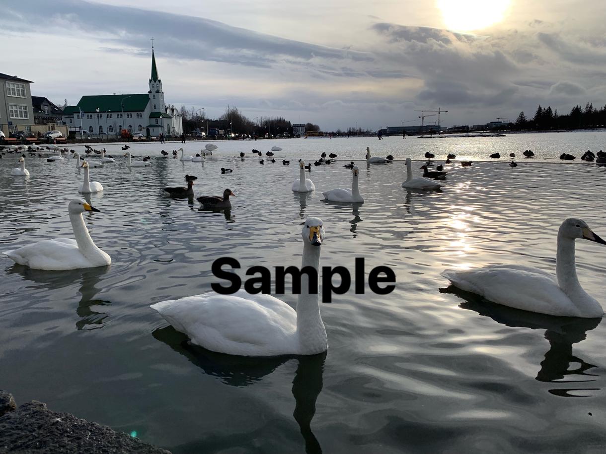 アイスランドまたはヨーロッパでの写真撮影します アイスランドまたはヨーロッパでの写真資料が必要なあなたへ