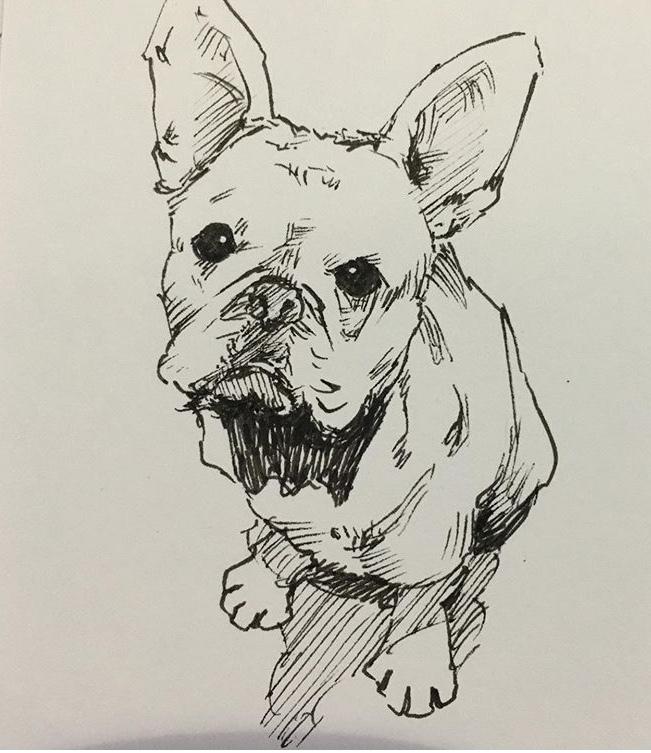 ペットの絵を描きます 玄関やトイレ、ちょっとした贈り物などに!ペット画像を描きます