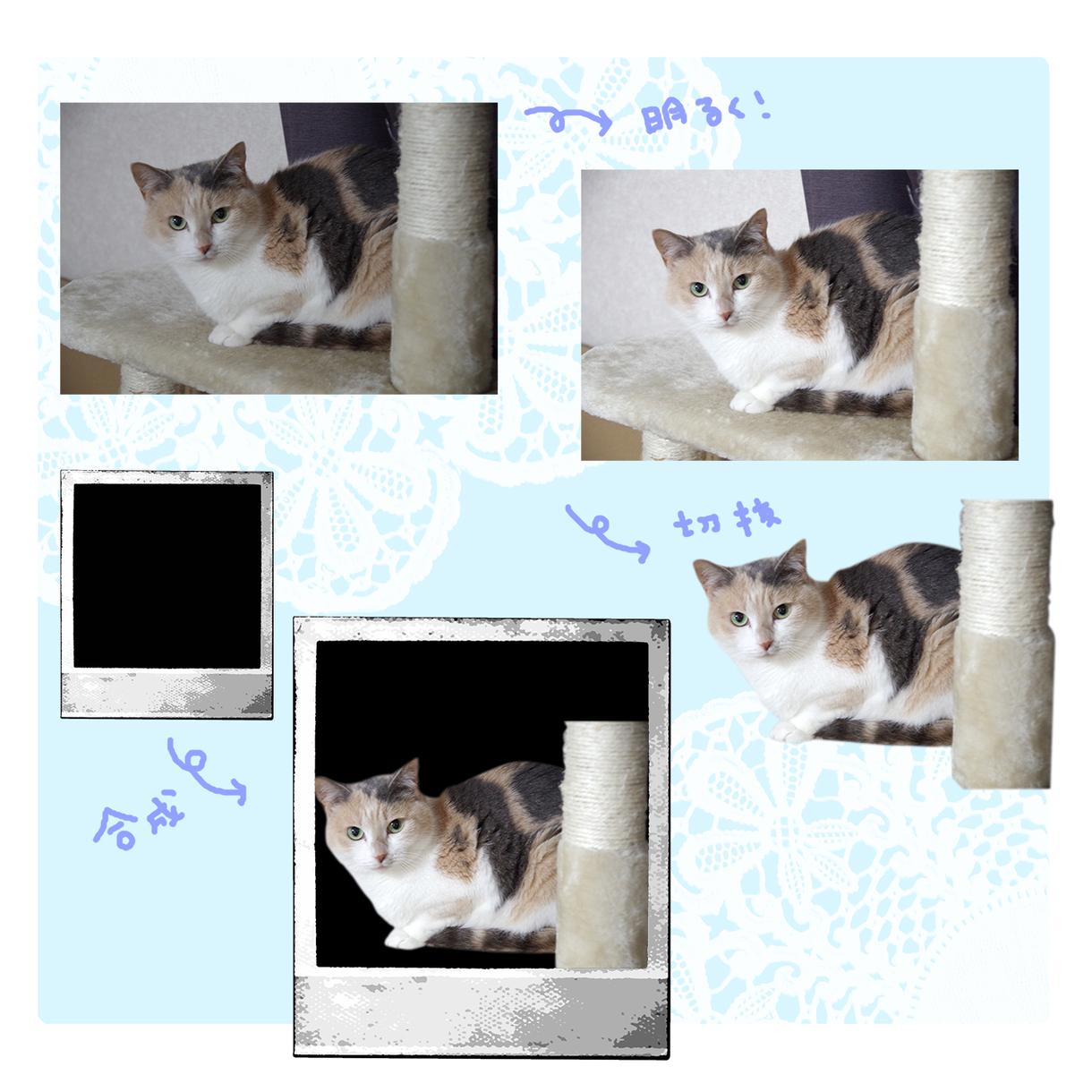 画像加工をいたします サイズ加工、透過などをいたします!