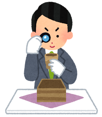 霊視で邪気判定します パワーストーン グッズ 縁起物 骨董品 遺品 中古品 その他 占い ココナラ