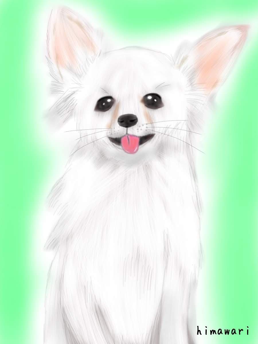 あなたのペットの絵、描きます 写真を参考に描きます!アイコンにも使えます!