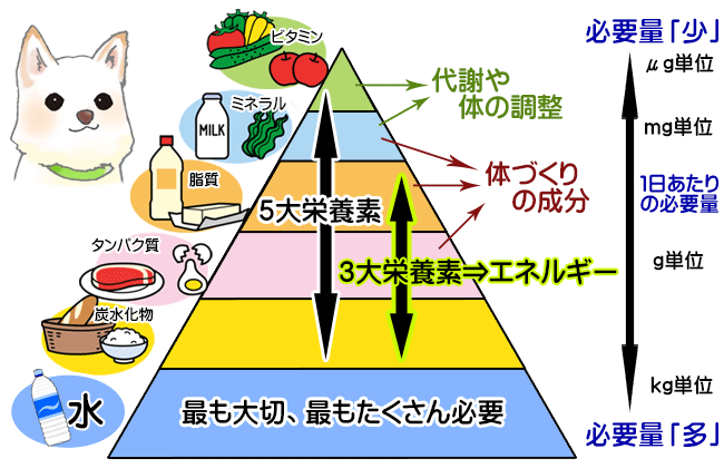 過剰　or  不足？　栄養知識　補給します 美に繋げ　心技体を支える　栄養力で美食　美食で健康美人へ イメージ1