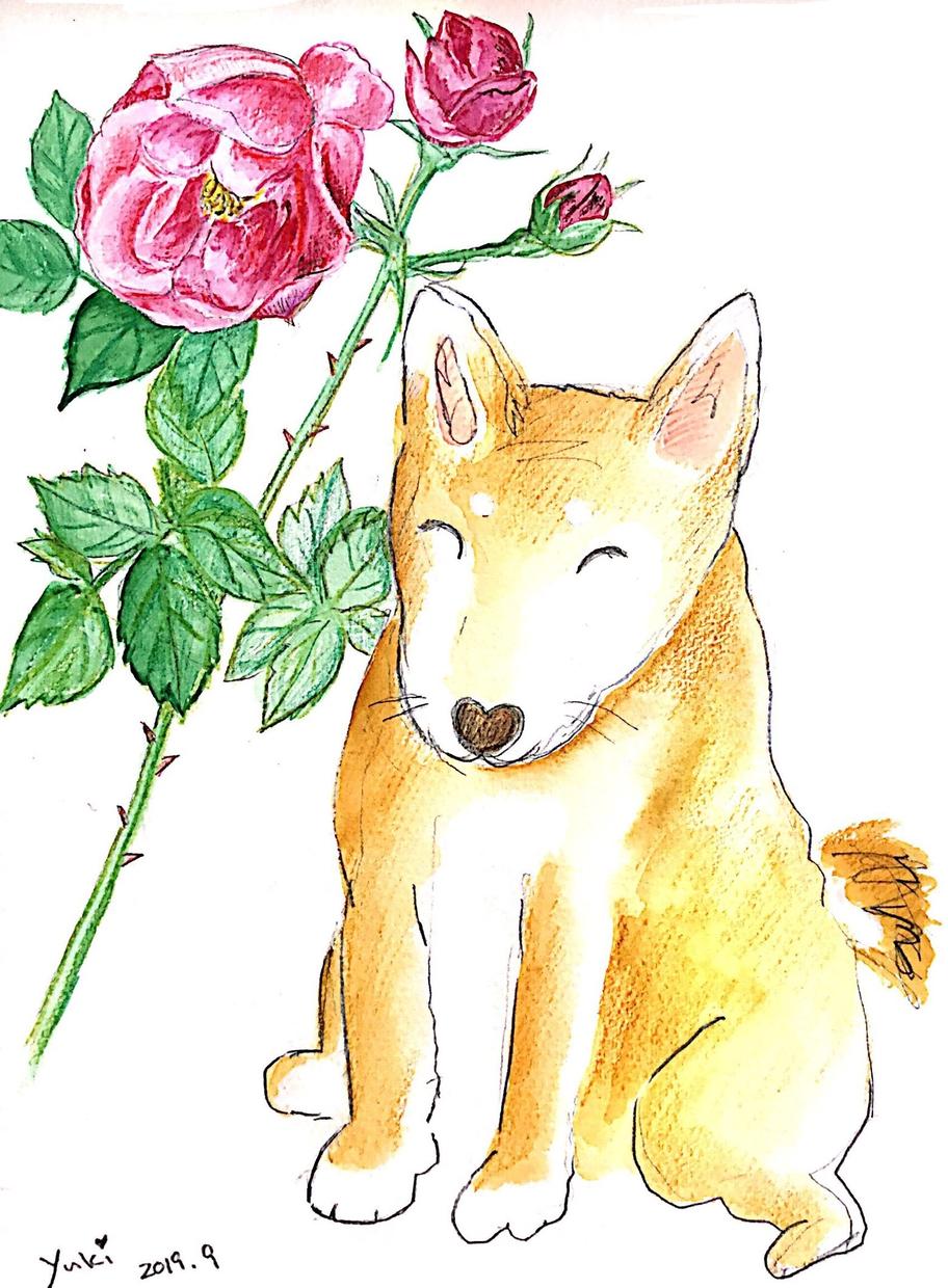 ペットの絵を描きます 水彩、パステル、色鉛筆を併用して描きます。
