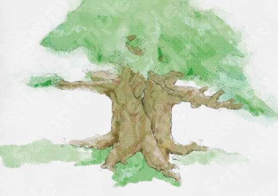 貴方のイメージをイラストにします 言葉では伝わらないイメージをイラストにします。