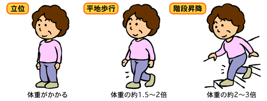 貴方に合ったトレーニングメニューを作ります トレーニングメニューが作れない方へ イメージ3