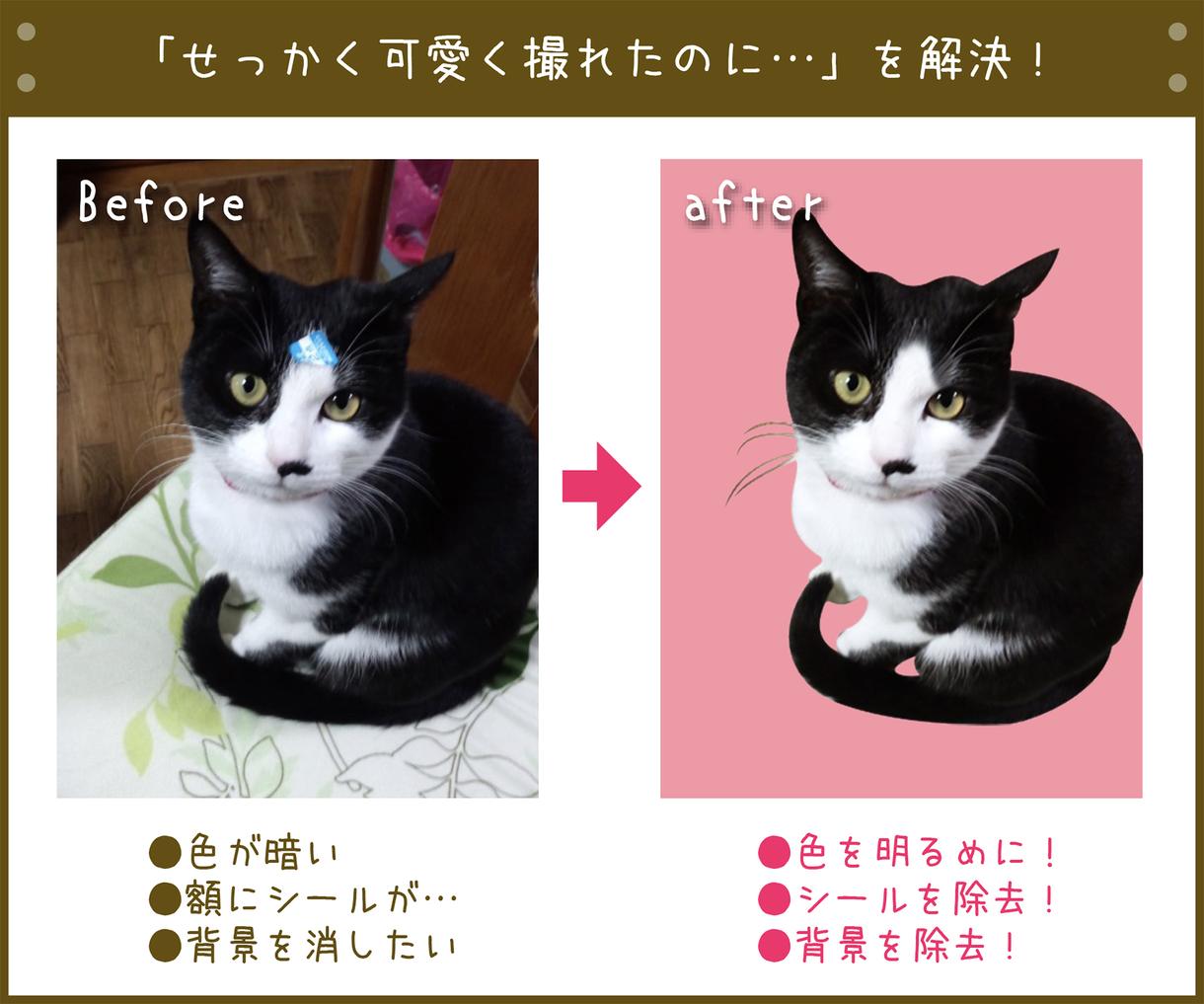 2点までOK★【画像修正・加工】します お手軽価格で【画像をキレイに!】