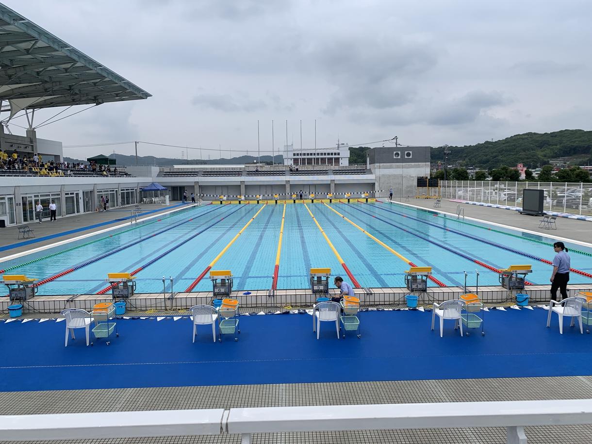 水泳に関することに相談のります 水泳のあれこれをわかりやすく説明。基礎水泳指導員の資格あり。