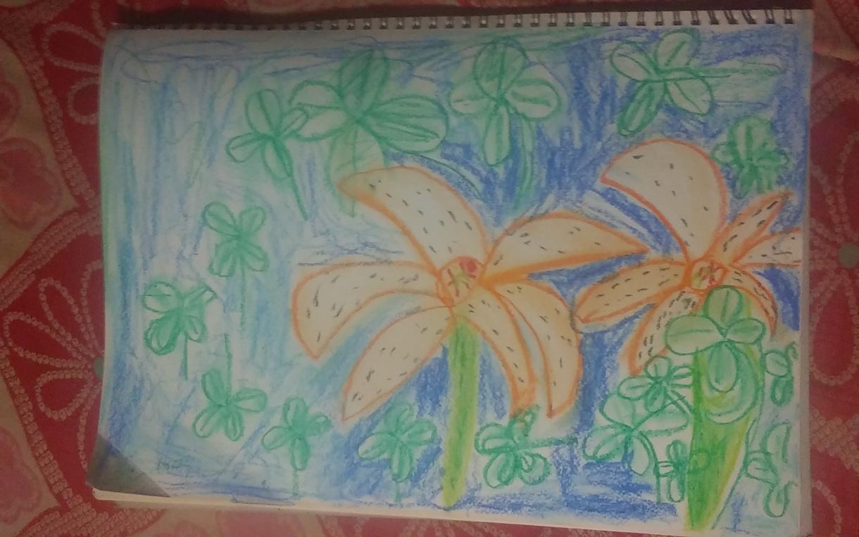 気にったらお客様向けに絵を1つ選びます 自然の中にしずかにゆれてるスカシユリとクロバーをかいました。