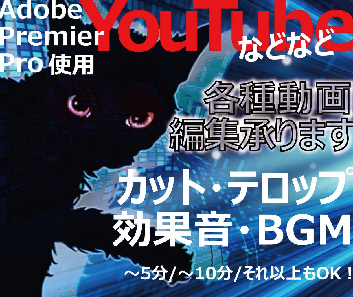 Youtubeなどの各種動画編集承ります 素材揃っていれば早め納品可能な日もあります♪