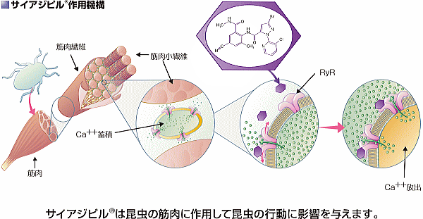 農家さん向けの肥料農薬に纏わるアドバイスを行います 肥料や農薬でお困りの方いませんか？ イメージ1