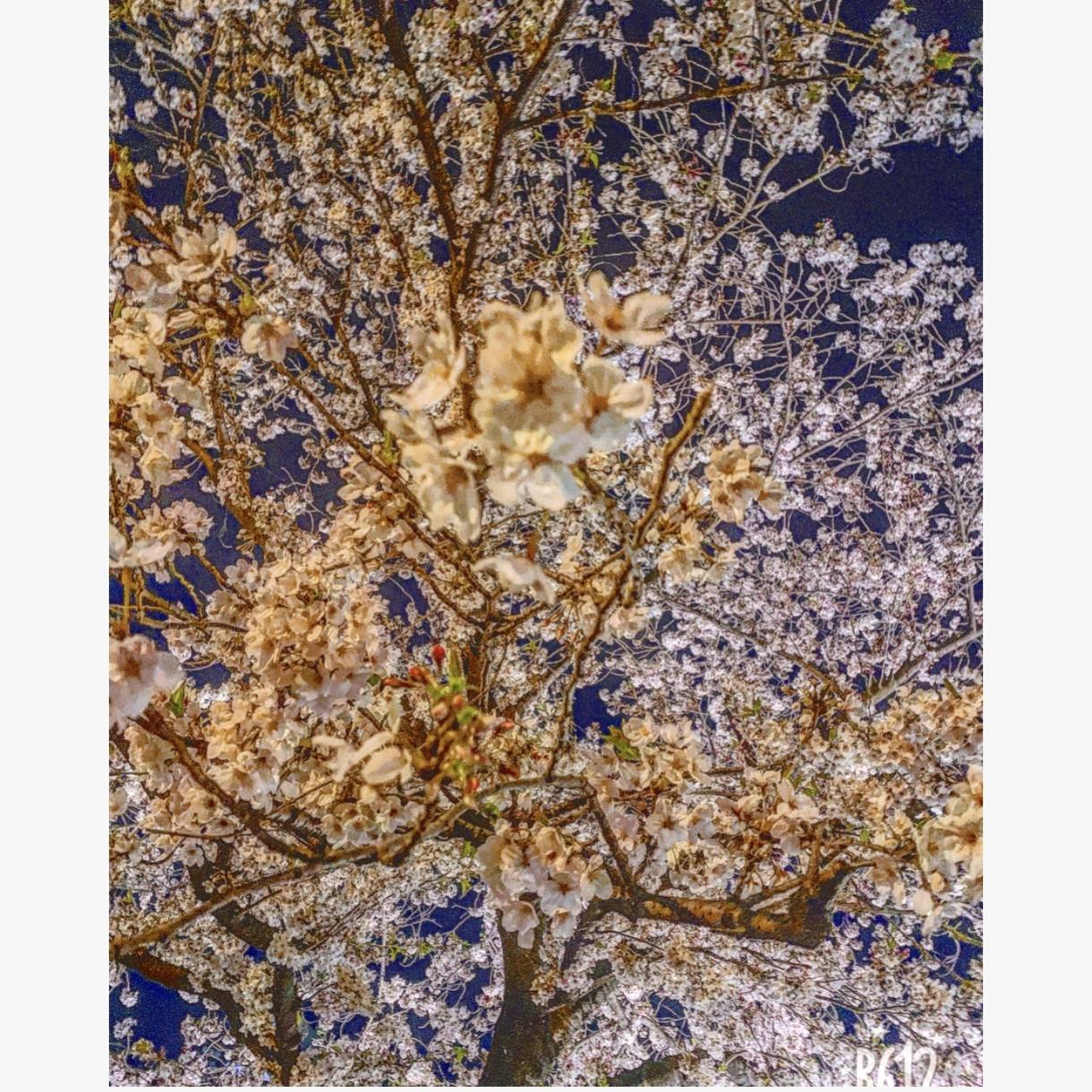 画像の制作させて頂きます 趣味を生かして納得して頂けるお気に入りをプレゼント
