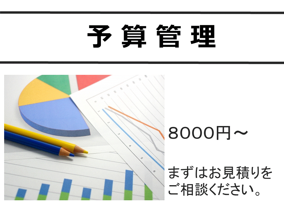 予算の管理とグラフ作成します 現役経理業務従事者です。PTA、サークル、個人事業に！ イメージ1