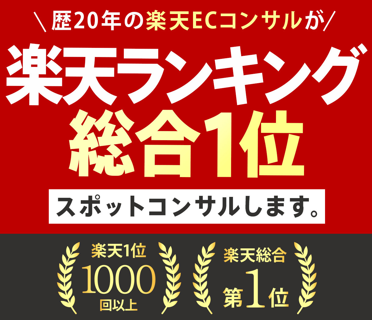 楽天で売れない・利益が残らない原因診断します SOY企業店長（2009）SOA企業CVR責任者（2013） イメージ1