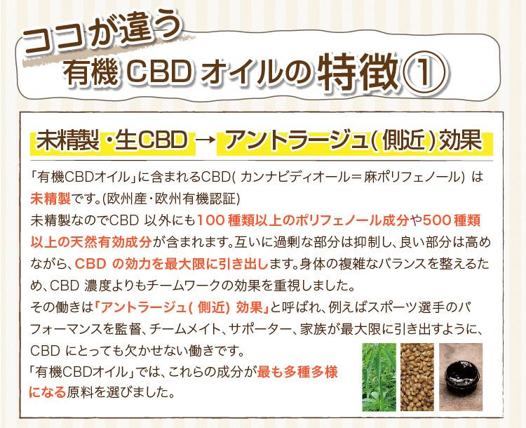 ココナラ バナー制作します ご希望のサイズのバナーをお作りします Shino Portalfield News