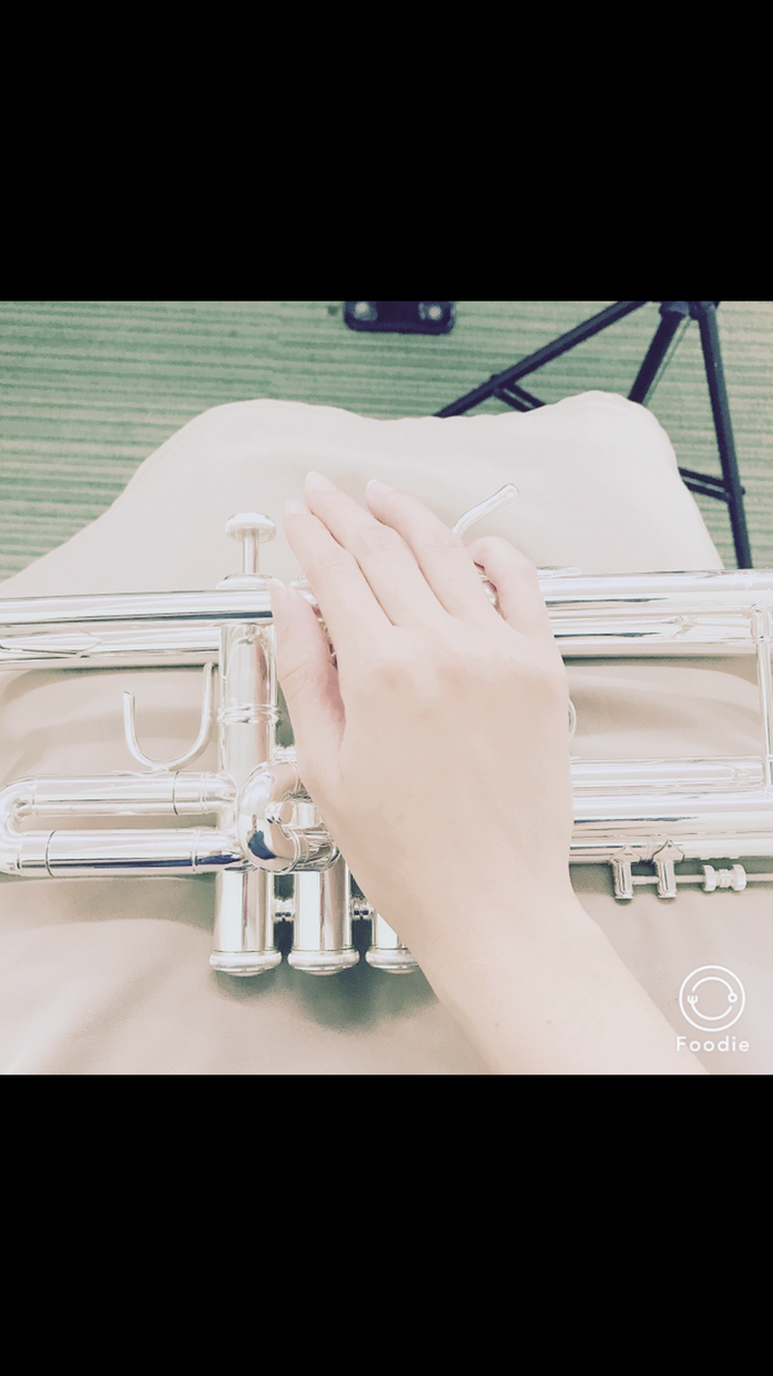 初心者歓迎 トランペット始めたい方 相談にのります 楽器の購入場所や練習方法などなど初めての疑問にお答えします 楽器演奏の相談 ココナラ