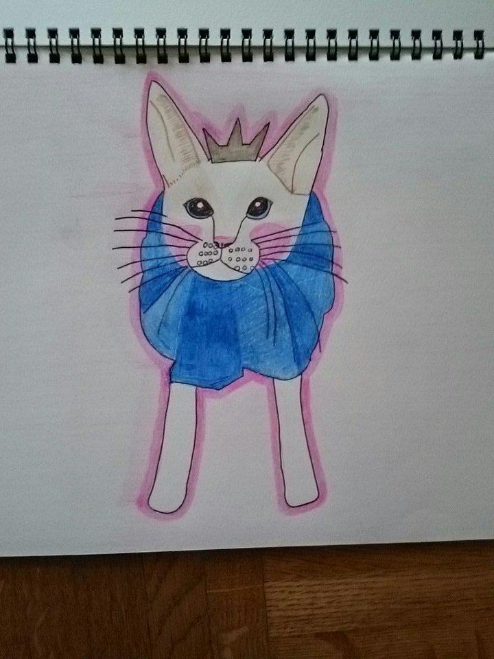 可愛い特徴をとらえたペット、似顔絵を描きますます 部屋に飾りたい。プレゼントにおすすめ