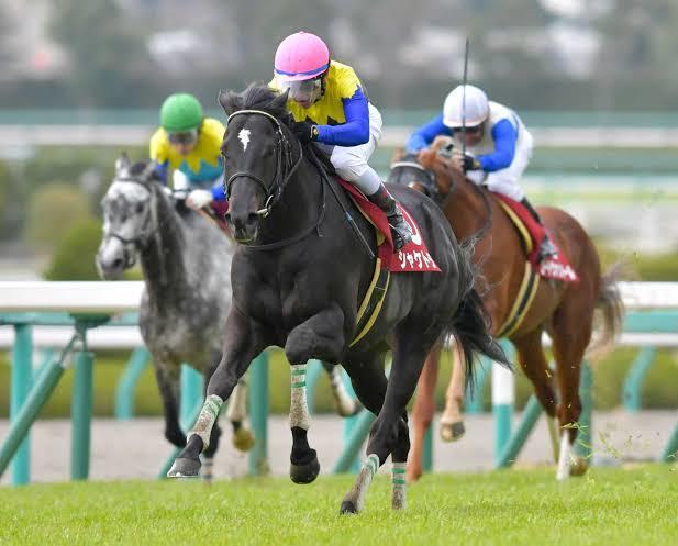 競馬に勝ちたい方にコツを教えます 競馬初心者、また競馬になかなか勝てない方