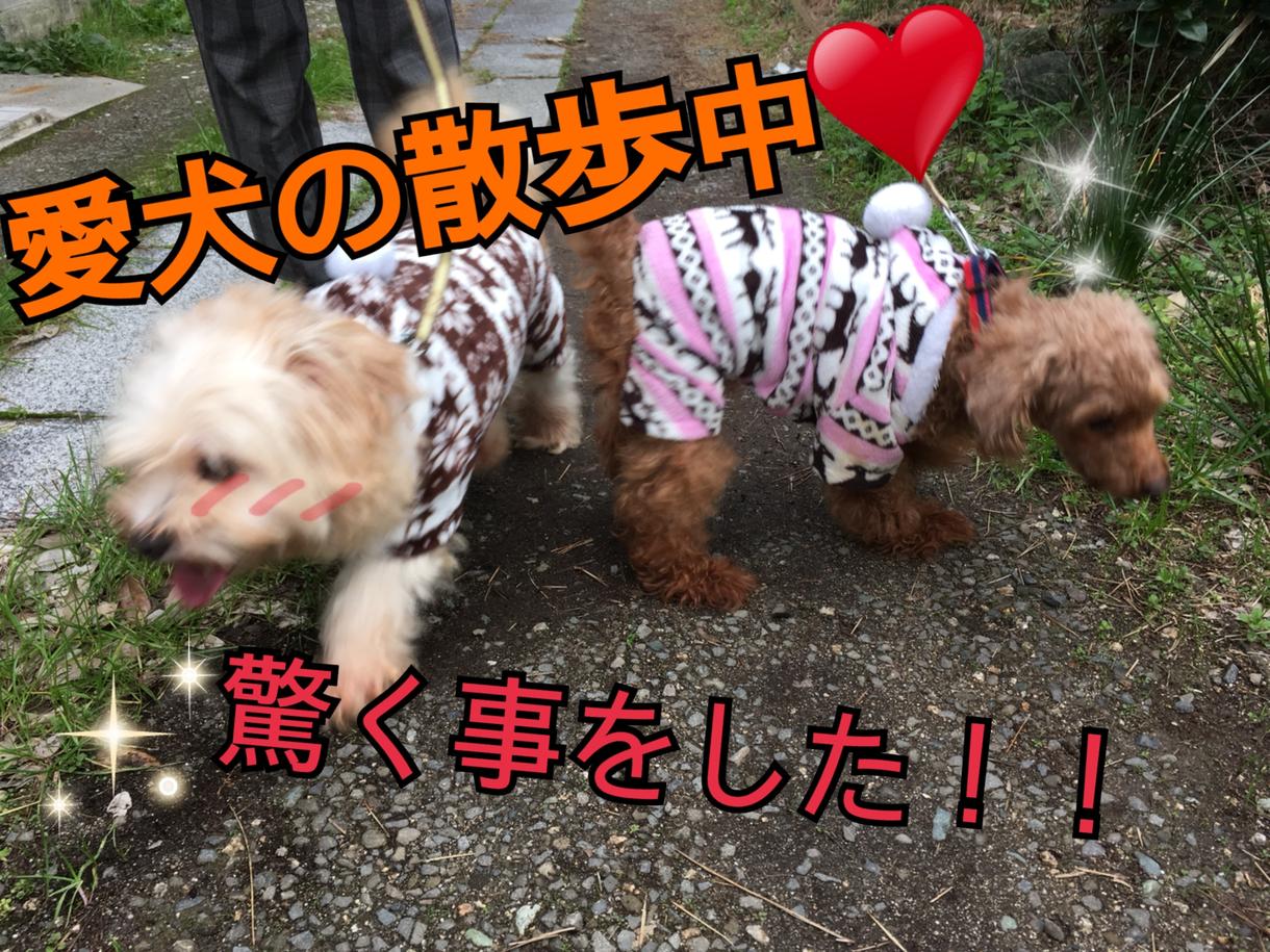 YouTubeなどにアップする動画を編集します 多忙で動画初心者のYouTuberさん簡単な編集を行います!