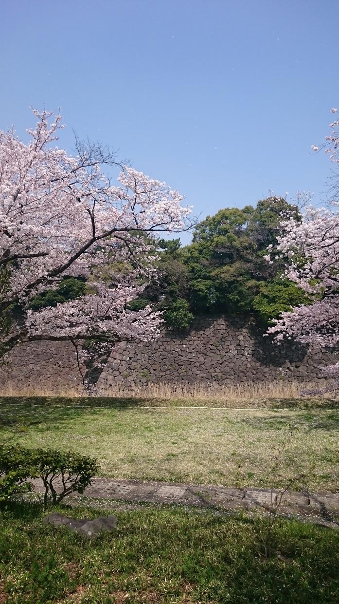 私の1日気ままに撮ったお出掛け写真を売ります 27歳、職なし女のお出掛けした時の写真です。