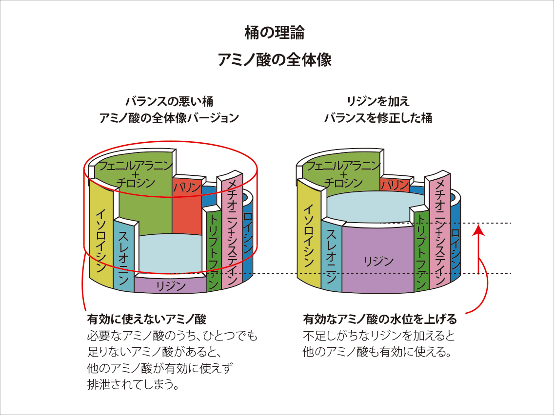 失敗の原因を「見える化」します うまくいかない「３つの罠」と「欠けた桶」 イメージ1