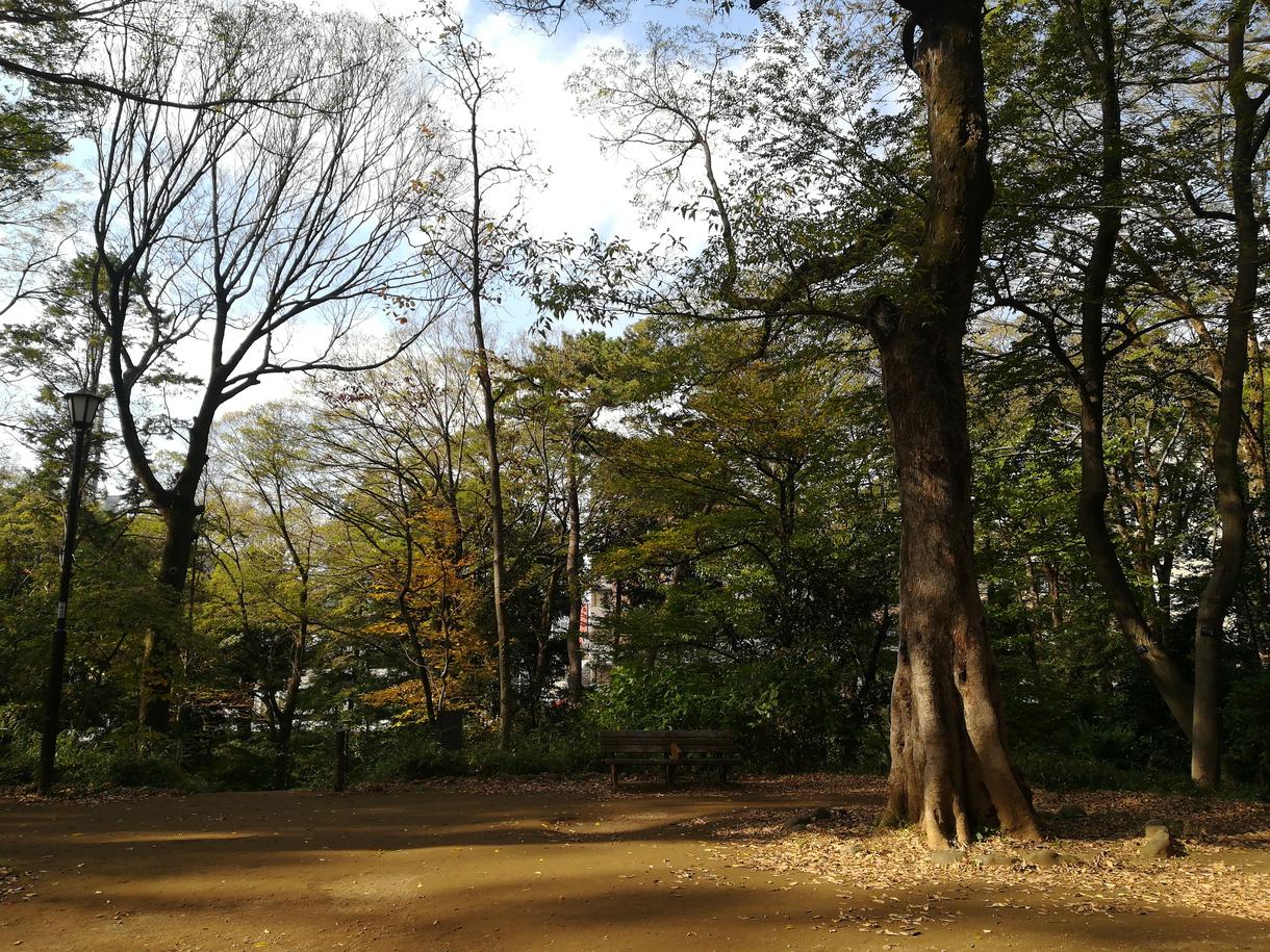 あなたのブログを目的に合わせて毎日書きます ネット上のもうひとりの自分が、24時間365日自己PR。