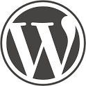 wordpress カスタマイズ支援