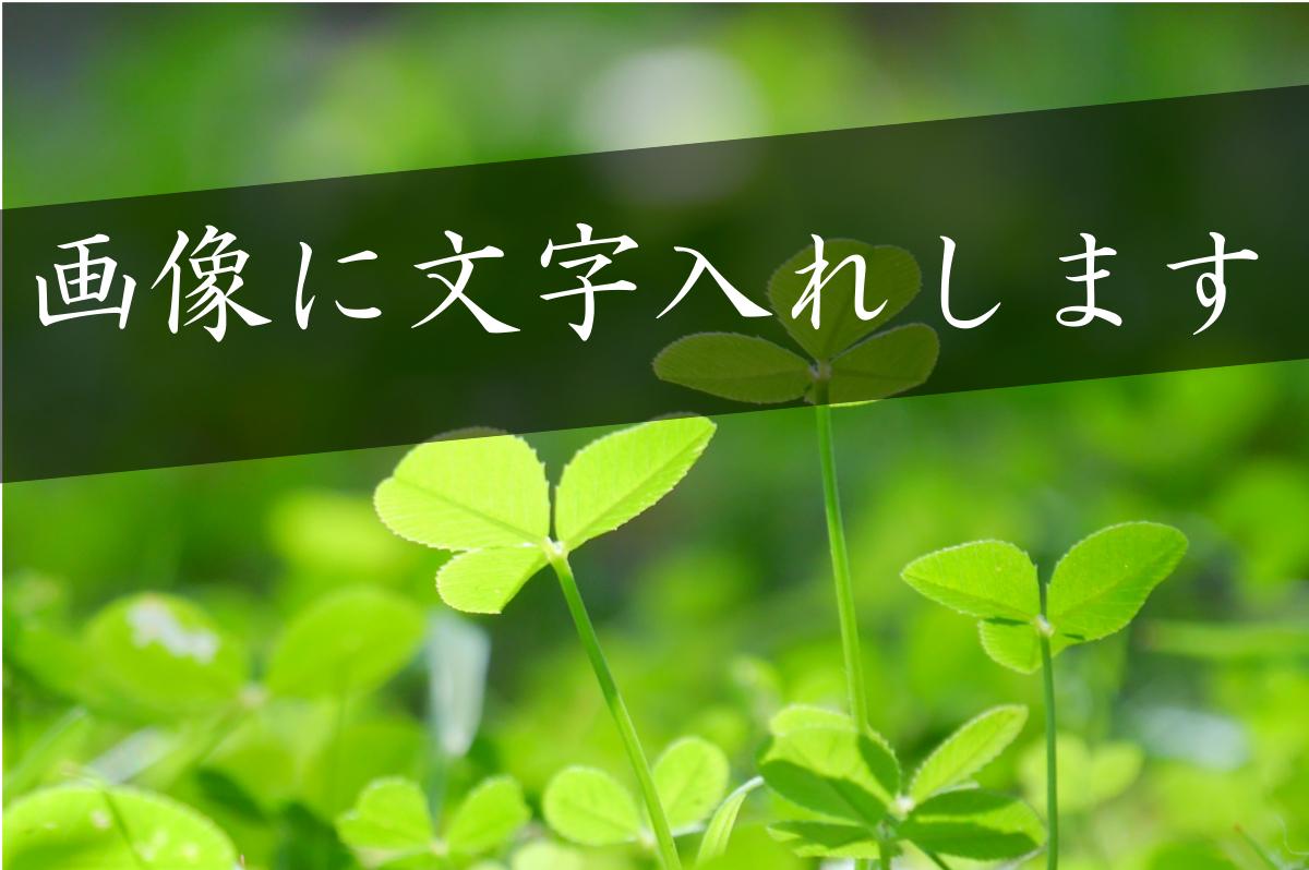 画像に文字入れます TOP画像やバナーにお使いください