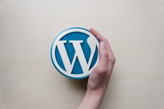 WordPressパスワード復旧代行いたします ダッシュボードへログインできなくなった方にお勧めです。