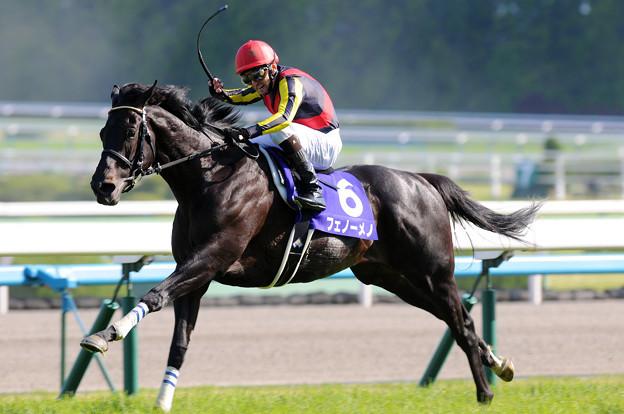 馬主ヤリレース×独自の相馬眼でみる予想をします 回収率も大事だか、的中率も大事。