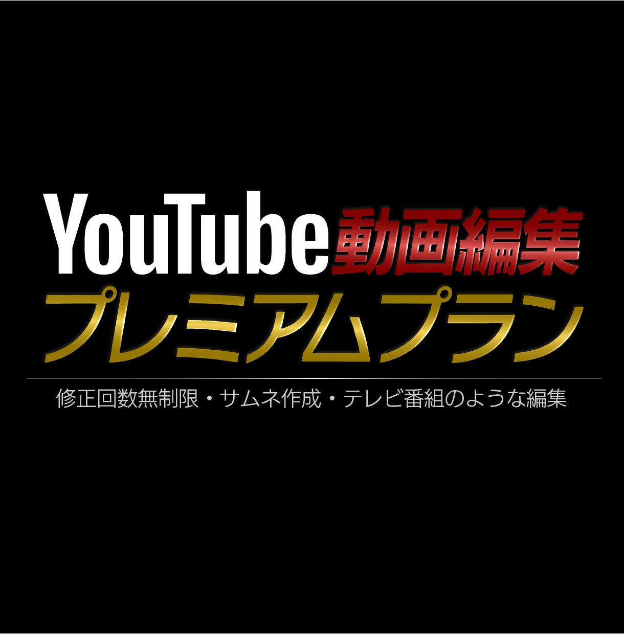 テレビ番組のような動画編集します 動画のクオリティを高めたい方にオススメ