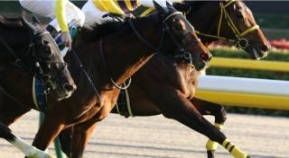 競馬の予想の仕方教えます はじめての競馬場、競馬予想教えさせて頂きます。