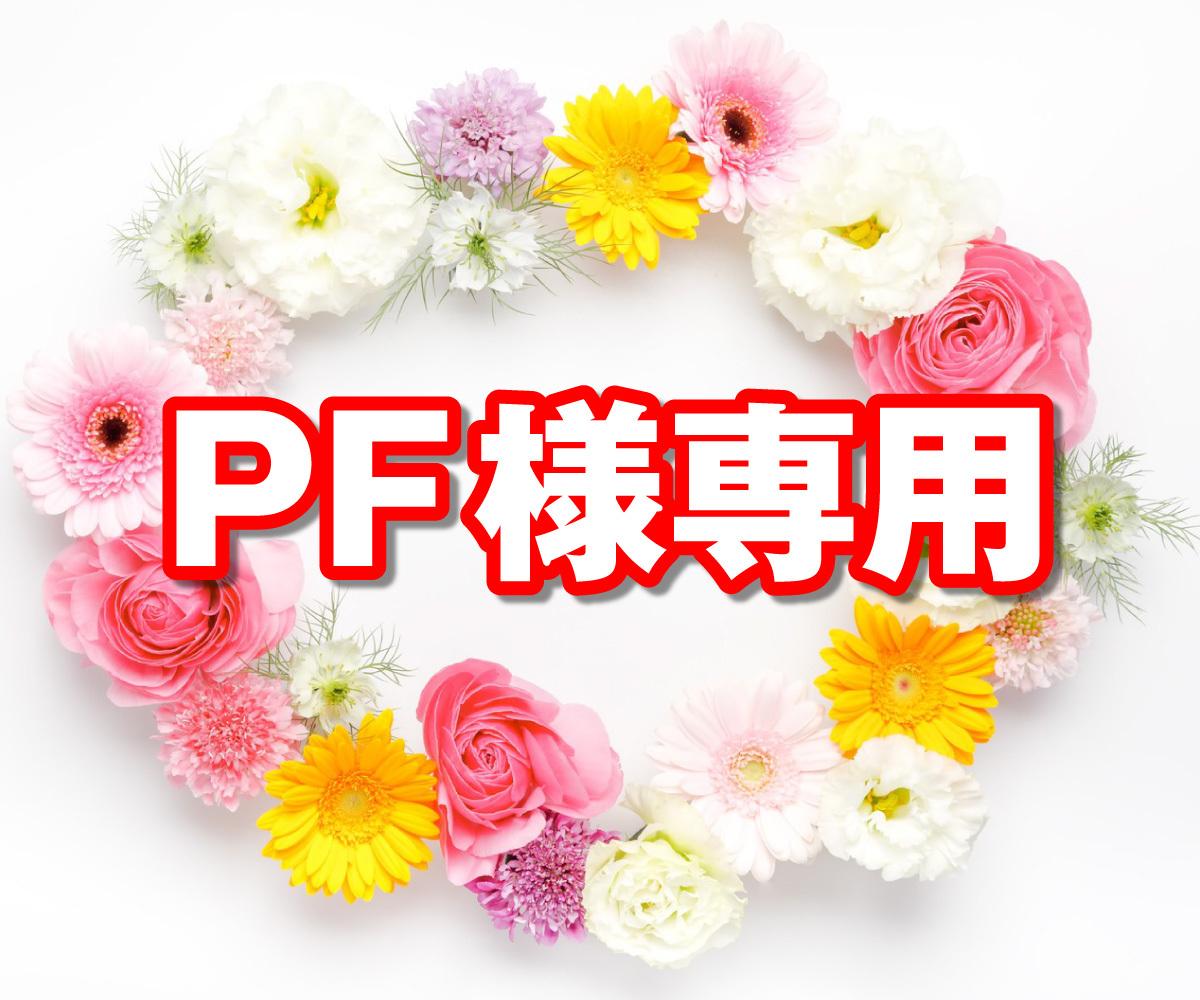 PF様専用出品でございます 【申し訳ございませんが他の方は購入不可です】