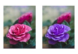 写真の色味の変更をします 画像の細かいところまで色を変えたい方へ