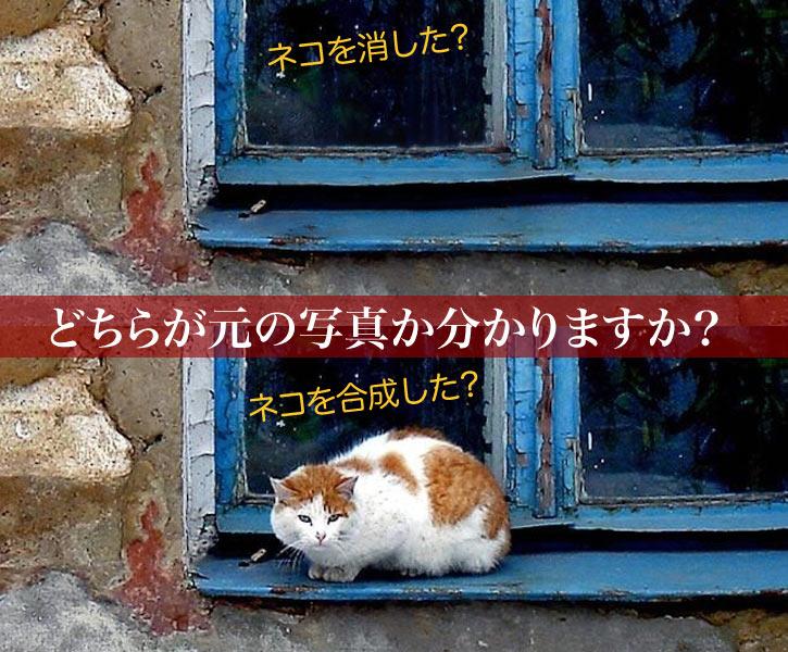 元イラストレーターによる高品質な写真合成加工や消去修整はいかがですか?