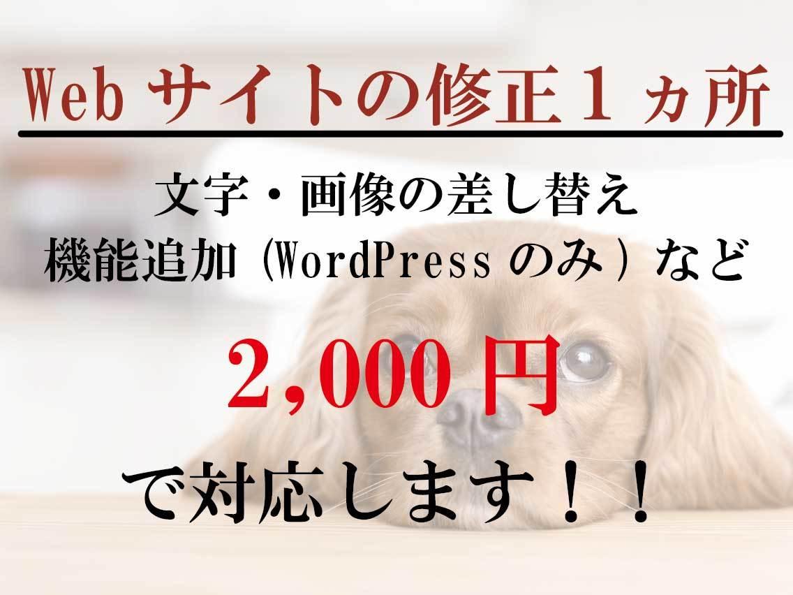 機能追加・テキスト・画像の修正を行います 低価格で修正頑張っちゃいます!!