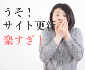 1ヶ月間何度でもサイトの更新お手伝いします 日々のホームページの更新が面倒で他人にお任せしたい方