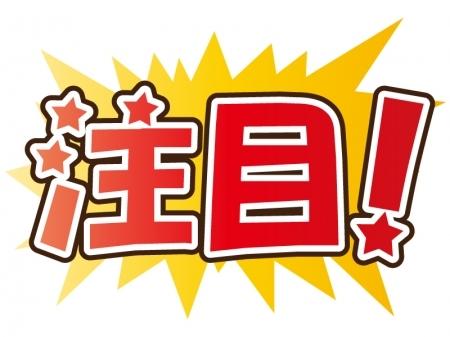 コンサル直伝!本当に売れるチラシ作りお伝えします チラシで思うように反応が取れないあなたへ