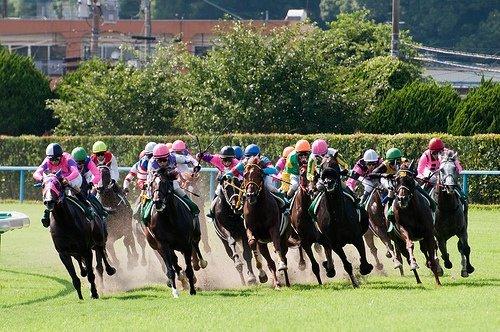穴馬から重賞の三連複万馬券をゲットします 無料ソフトと無料サイトを使って重賞競走の三連複万馬券をゲット