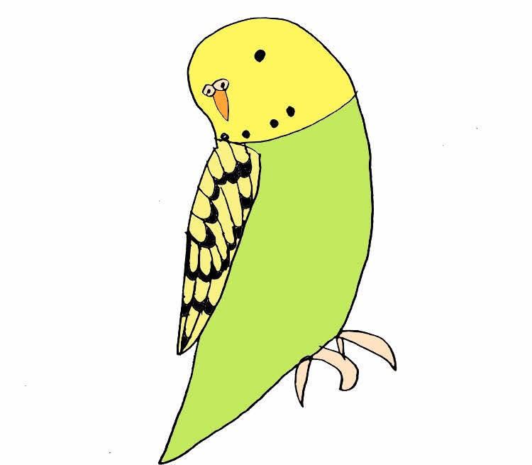 イラスト描きます 画像を見せてもらえたらイラスト描きます