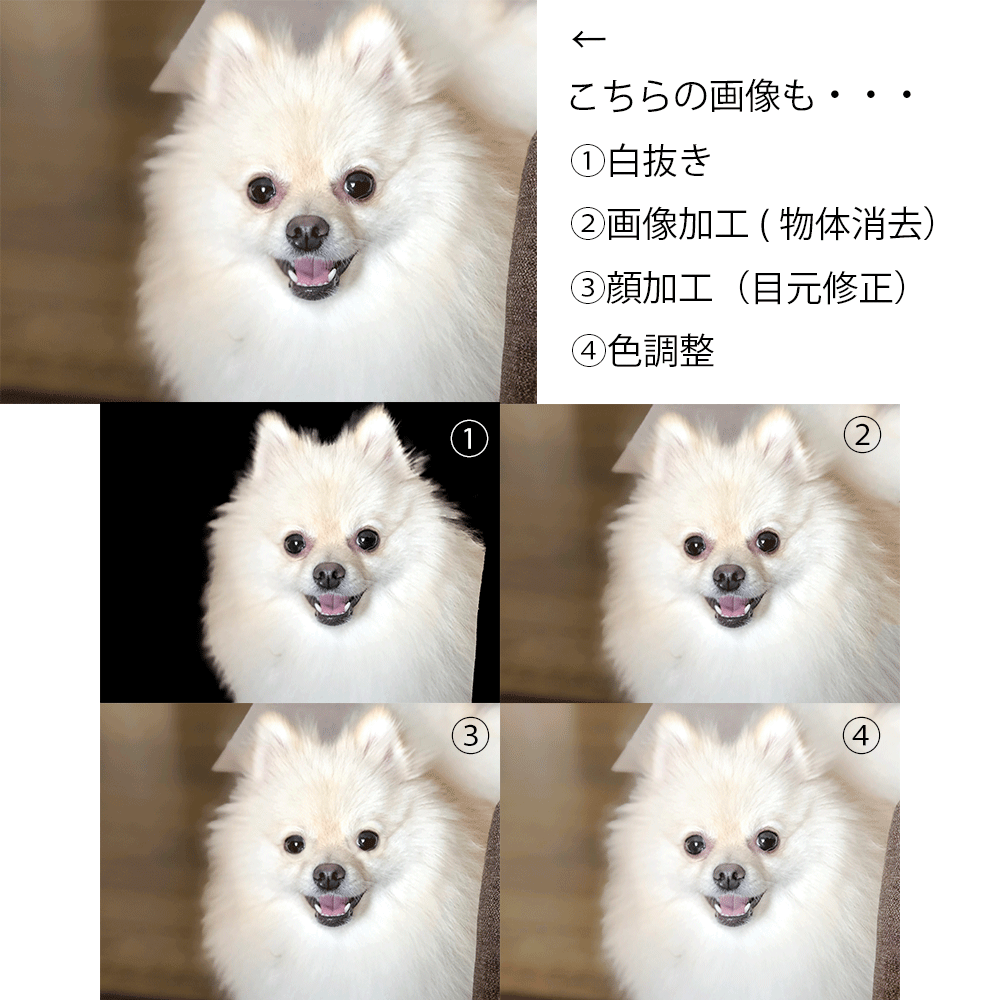 幅広い画像加工のご依頼お請け致します ECサイト商用からコスプレ、食品等、様々な画像の加工OK！ イメージ2