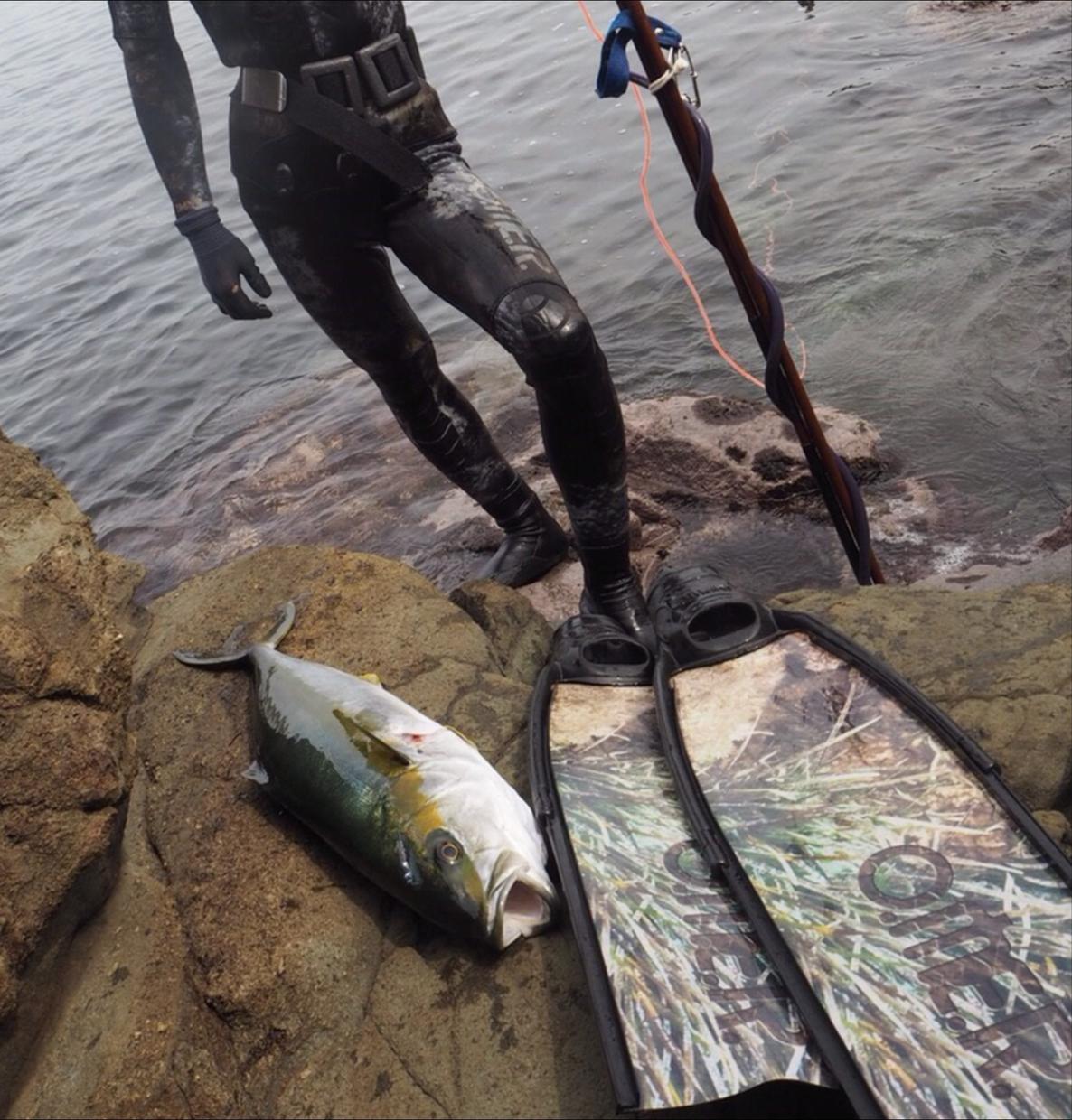 高級魚を捕る方法を教えます 海で釣りに挑戦するけど、ボウズが多くて悔しい思いをしている方 | スポーツレッスン・アドバイス | ココナラ