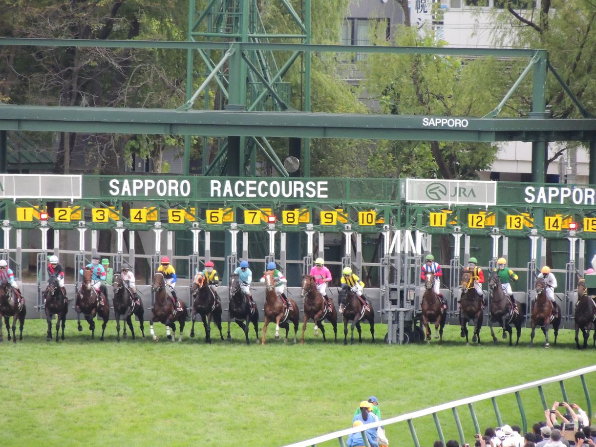 馬の獣医師が競走馬の馬体(能力)診断をします 競走馬の購入に迷われる方に、専門の獣医師がアドバイスをします