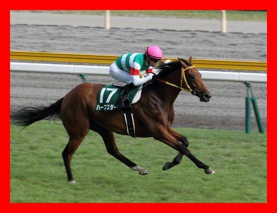 競馬予想2~4点でも的中!堅実投資馬券術を教えます 少数買い目でも堅実に的中!安定した回収率の競馬馬券術!