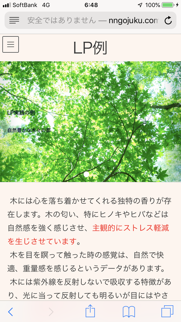 限定5名に超安価でホームページ、ブログをつくります WordPressで超超超高速の1週間で作っちゃいます!!!